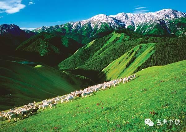 ♬最美的南北朝民歌，似一阵清风吹入