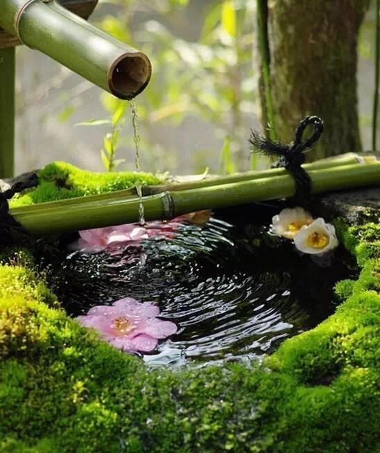 ♬最美的南北朝民歌，似一阵清风吹入