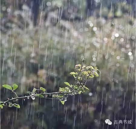 ♬最美的南北朝民歌，似一阵清风吹入