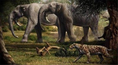 ​青藏高原曾出现乳齿象，长有2米獠牙，灭亡原因至今还是个谜