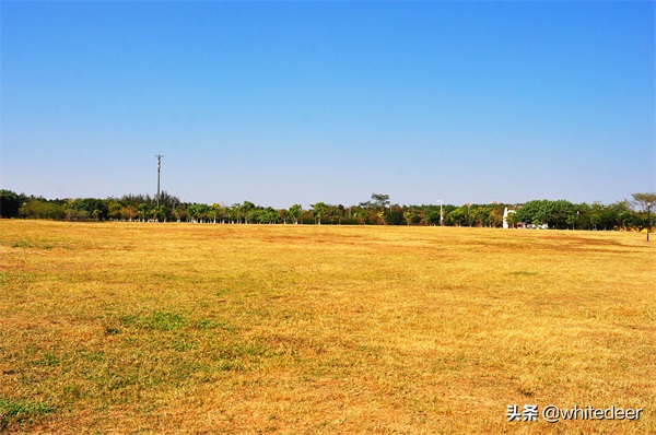 东莞国家城市湿地公园之 生态园风筝公园