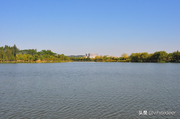 东莞国家城市湿地公园之 生态园风筝公园