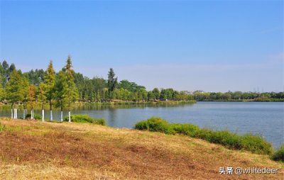 ​东莞国家城市湿地公园之 生态园风筝公园