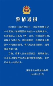 ​必须严惩在辽宁中医药大学附属医院持枪行凶的恶性刑事犯罪马某某