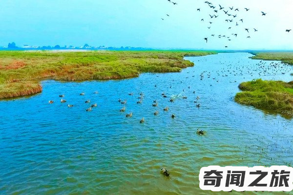 汩罗江怎么读（汩罗江的正确读音是mì luó jiāng）(2)_