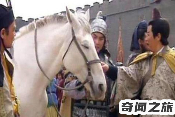 三国里的卢马是谁的（曹操把的卢马交给了刘备）(4)_