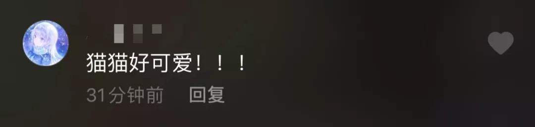 抖音新手基本操作教程（新手入门抖音的8大避坑指南）(6)