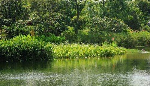 地球三大生态系统,地球三大生态系统是指海洋湿地和什么图2