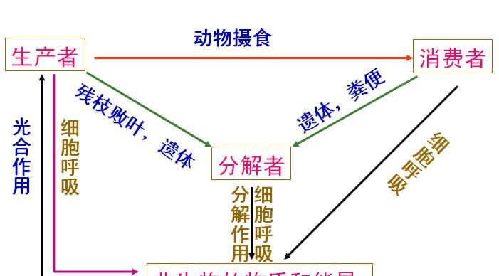 全球三大生态系统是什么?