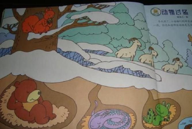 冬眠的动物有哪些