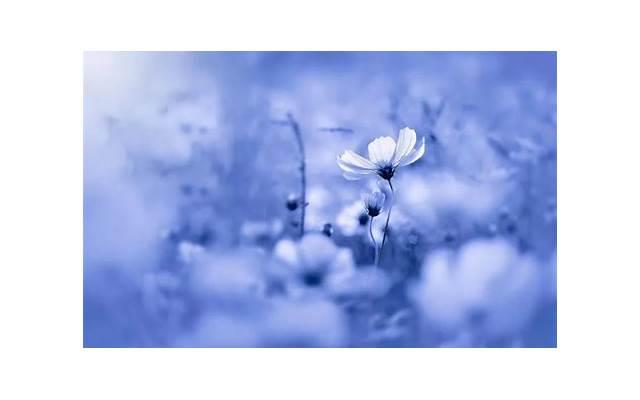 女朋友想分手会有什么信号 女朋友想分手会出现4个信号