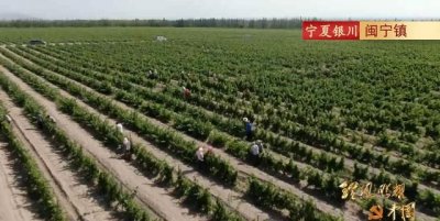 ​宁夏闽宁镇的来历，宁夏永宁县闽宁镇距离李俊镇多少公里路？