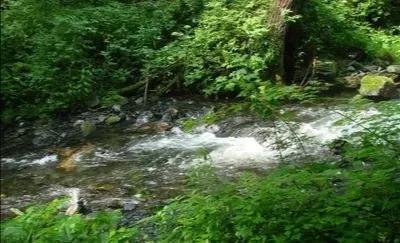 描绘泉水的诗词（古人赞美泉水的诗句）