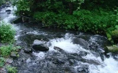 描绘泉水的诗词（古人赞美泉水的诗句）