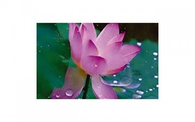 ​第二次约会怎样跟女生进行身体接触