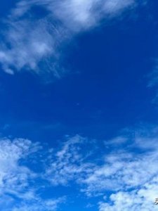 ​带语的成语(成语词语)