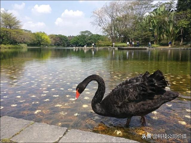 华为国际总部建设(这是华为新总部)(16)