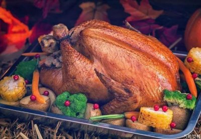 ​火鸡怎么样吃 火鸡的做法大全