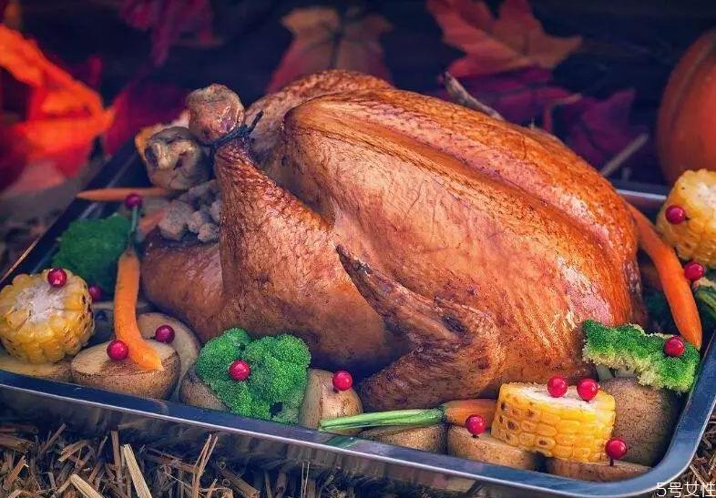 火鸡怎么样吃 火鸡的做法大全