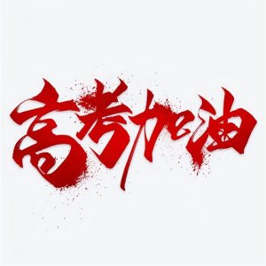 ​高考加油的句子（2025高考加油正能量文案）