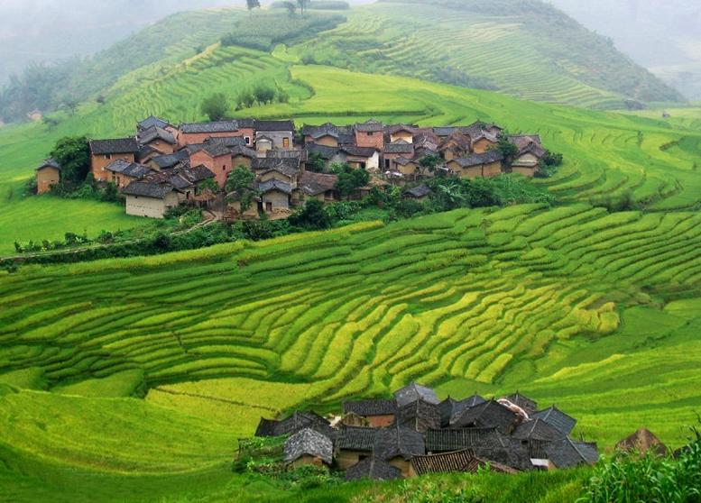 楚雄州有多少人口(楚雄州各市县人口排名)