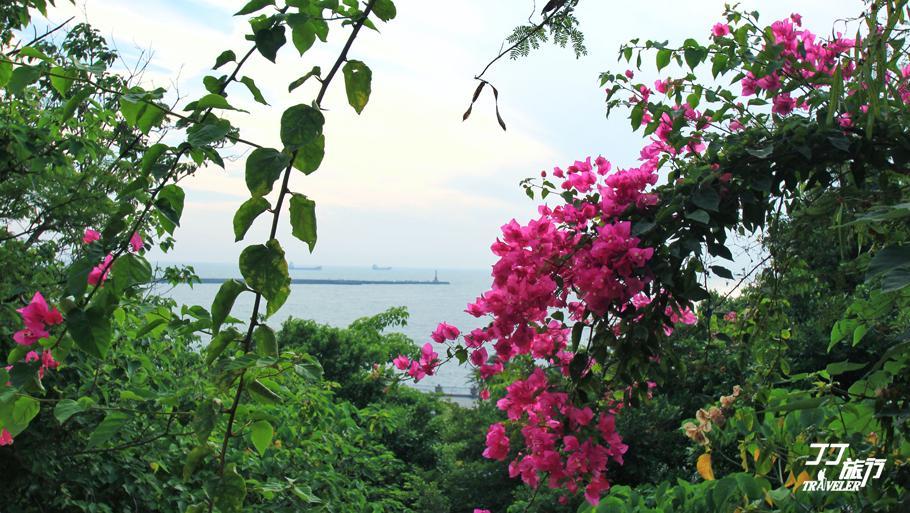 台湾最大的港口(台湾最大港口是什么港)