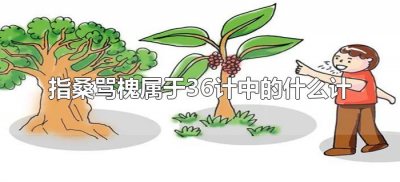 ​指桑骂槐属于36计中的什么计（36计指桑骂槐的意思）