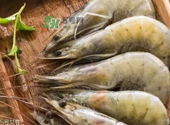 厄瓜多尔虾的储存方法 厄瓜多尔虾可以放冰箱吗 厄瓜多尔虾的储存方法 厄瓜多尔虾可以放冰箱吗