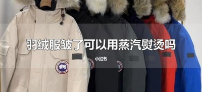 ​羽绒服皱了可以用蒸汽熨烫吗（羽绒服面料皱了可以蒸汽熨烫吗）