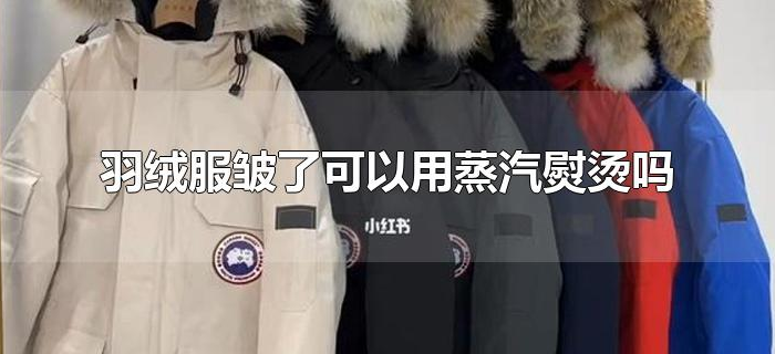 羽绒服皱了可以用蒸汽熨烫吗