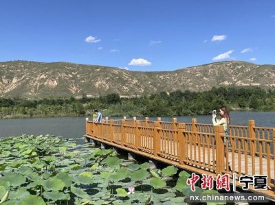 ​固原沈家河生态湿地公园：水清、岸绿、河畅、景美、清水归