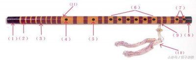 ​笛子的构造