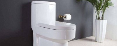 ​马桶上有细菌吗图片 马桶上有细菌吗会传染吗