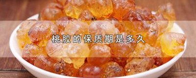 ​桃胶过了保质期能吃吗 桃胶的保存期是多久