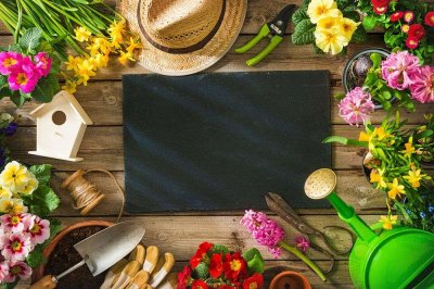 ​铁甲球繁殖方法