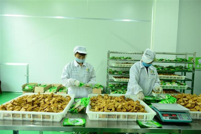 攸县香干生产（让一县一特成为县域经济突破口）(2)