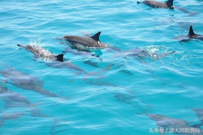 ​去马尔代夫旅游需要多少钱