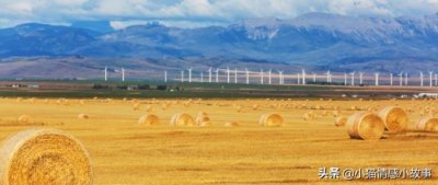 ​有孩子怎样挽回前妻心（老公放不下跟前妻的孩子）