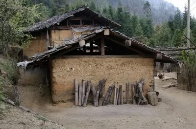 ​一位农村孤寡老人的悲苦人生，揭开了人性最丑陋的一面