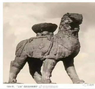 ​沧州铁狮子的由来？1000多年又经历了什么？