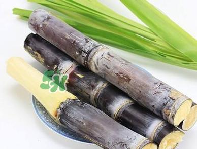 甘蔗什么时候成熟？甘蔗什么时候上市