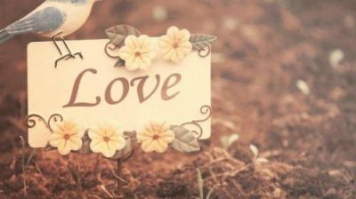 ​天天向上韩庚为什么离场 因为出现了与台本不一样的内容