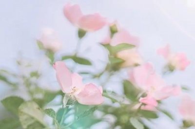 ​陈翔六点半死了个女孩叫什么 小柳岩球球真名叫什么