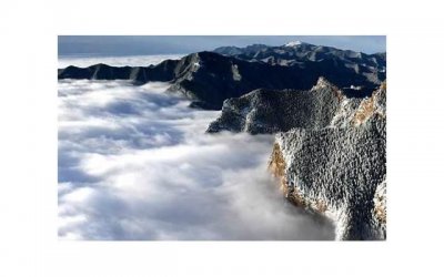 ​燕山君为什么和张绿水奶