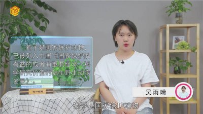​狍子是保护动物吗为什么[狍子是保护动物吗图片]