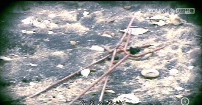 ​《法证先锋》关于童年阴影的案件。——天眼少女