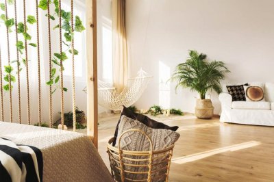 ​过年买的花这么养，3个月又能开爆