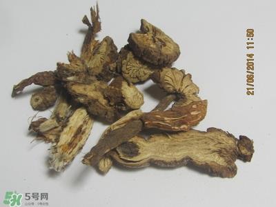 漏芦的功效与作用及禁忌 中药漏芦的功效与作用