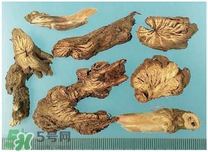 漏芦的功效与作用及禁忌 中药漏芦的功效与作用