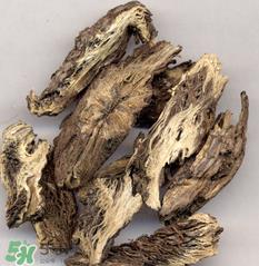 漏芦的功效与作用及禁忌 中药漏芦的功效与作用